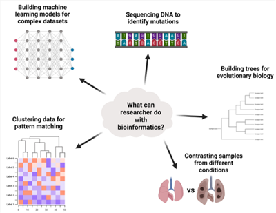 生物信息学分析