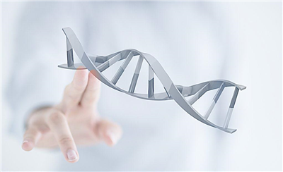 CRISPR/Cas12b系统实验